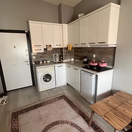 Wonderful Apartament Yashilyurt Kepez Lejlighed